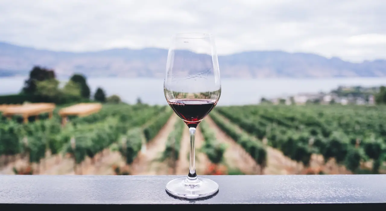 Лучшее вино в Испании - вино Аликанте: Богатство и история, которую нужно знать