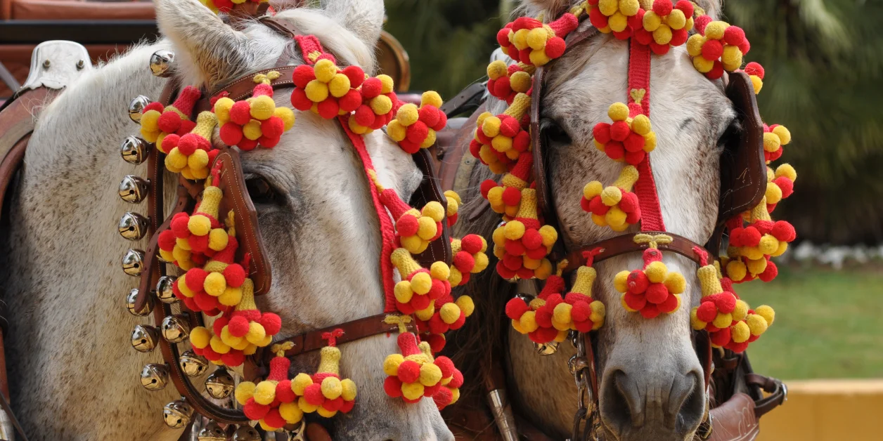 Pferde mit typischem Zubehör für das andalusische Volksfest.